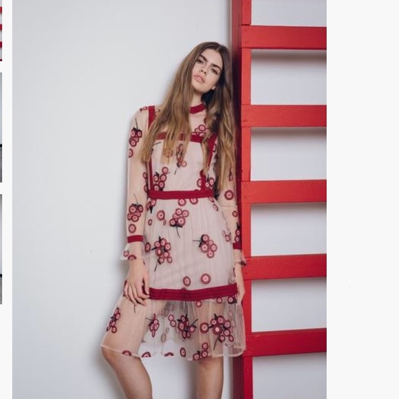 COPY - Endless Rose Embroidered dress large - Picture 3 of 8